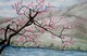 Apple Blossoms at Lake Chelan