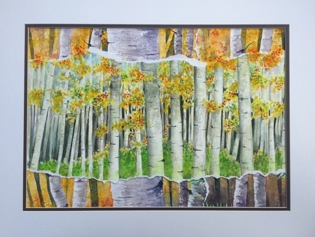 Aspen Forest Collage