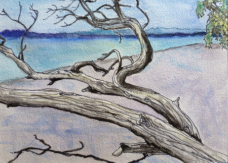 Driftwood Tree
