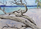 Driftwood Tree