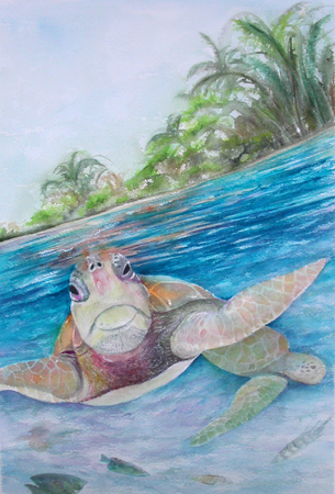 Out for a Swim