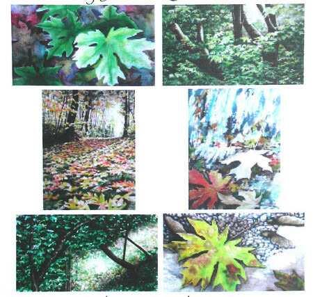 Maple Tree Cards