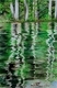Reflections