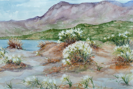 Sand Orchids of Crete