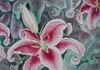 Stargazer