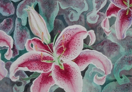Stargazer