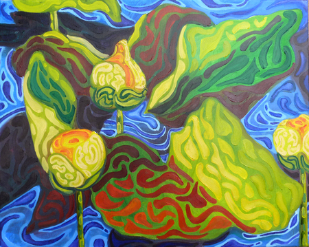 Yellow Water Lilies